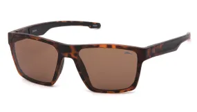 Bronx Sunglasses