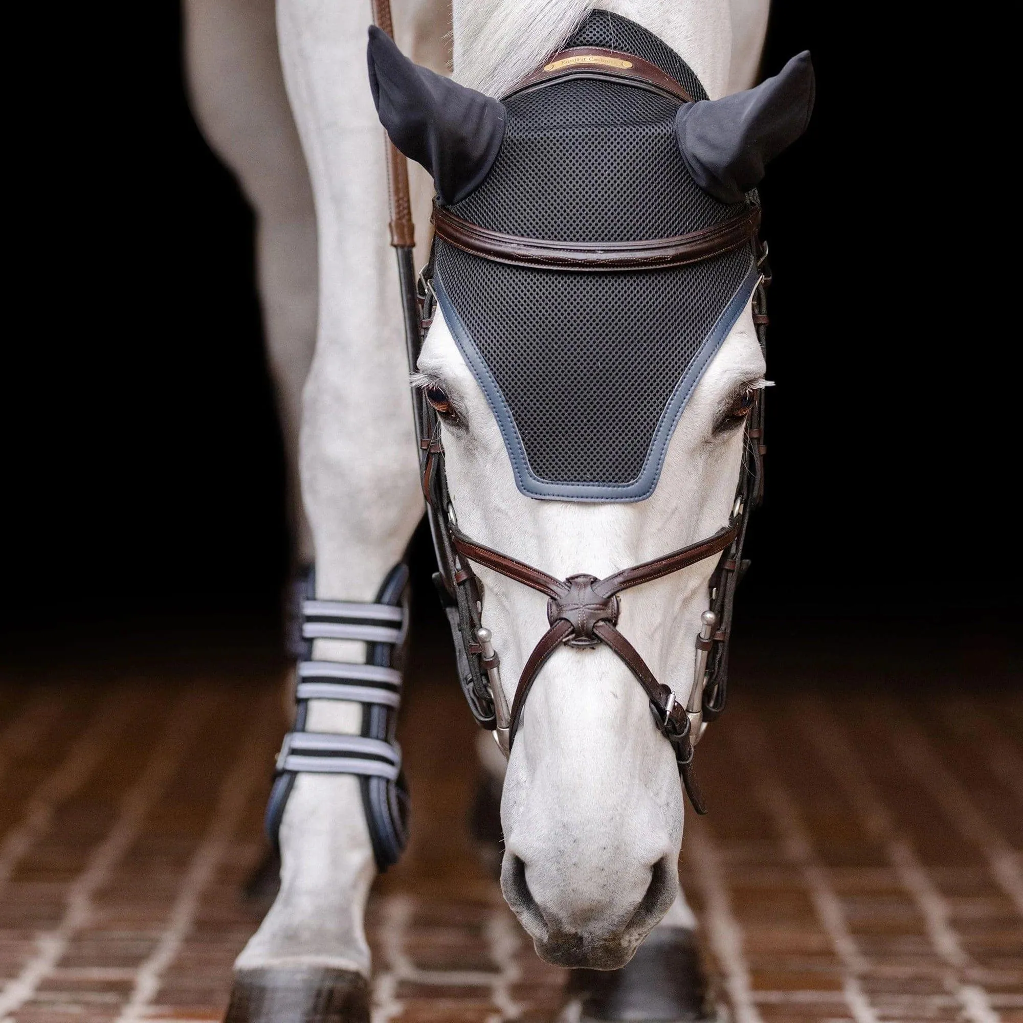 EquiFit Ear Bonnet